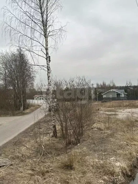 Участок в Санкт-Петербург пос. Левашово, просп. Карла Маркса (12.0 ... - Фото 1