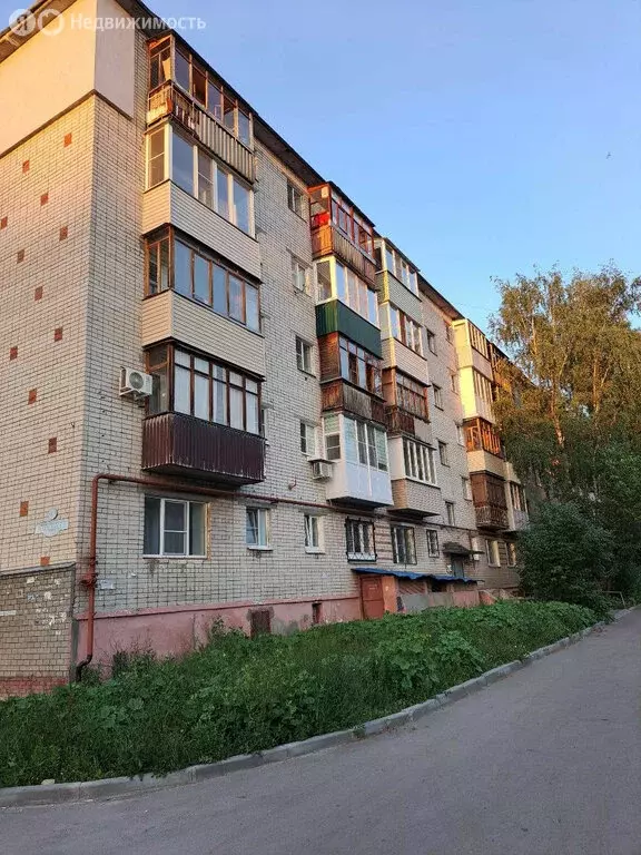1-комнатная квартира: Кстово, улица Ступишина, 3 (29 м) - Фото 0
