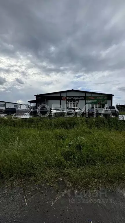 Участок в Тюменская область, Тюменский муниципальный округ, с. Кулига ... - Фото 1