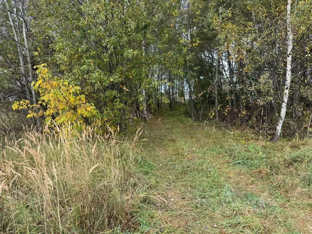 Участок в Московская область, Богородский городской округ, д. Новое ... - Фото 1