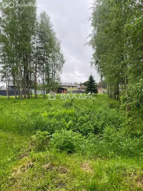 Участок в Бугровское городское поселение, массив Мендсары (28 м) - Фото 0