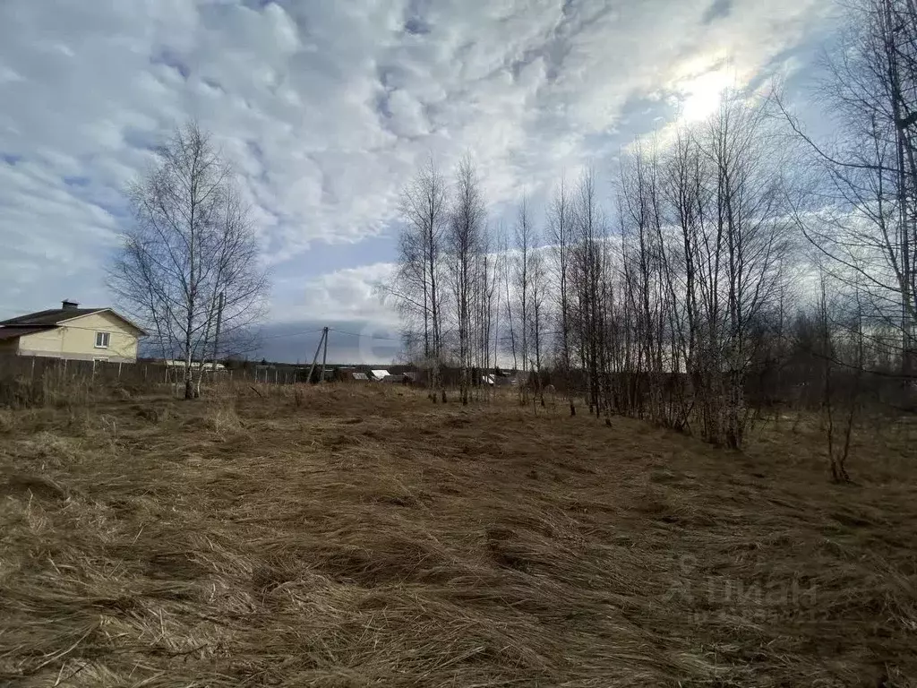 Участок в Костромская область, Костромской район, Чернопенское с/пос, ... - Фото 1