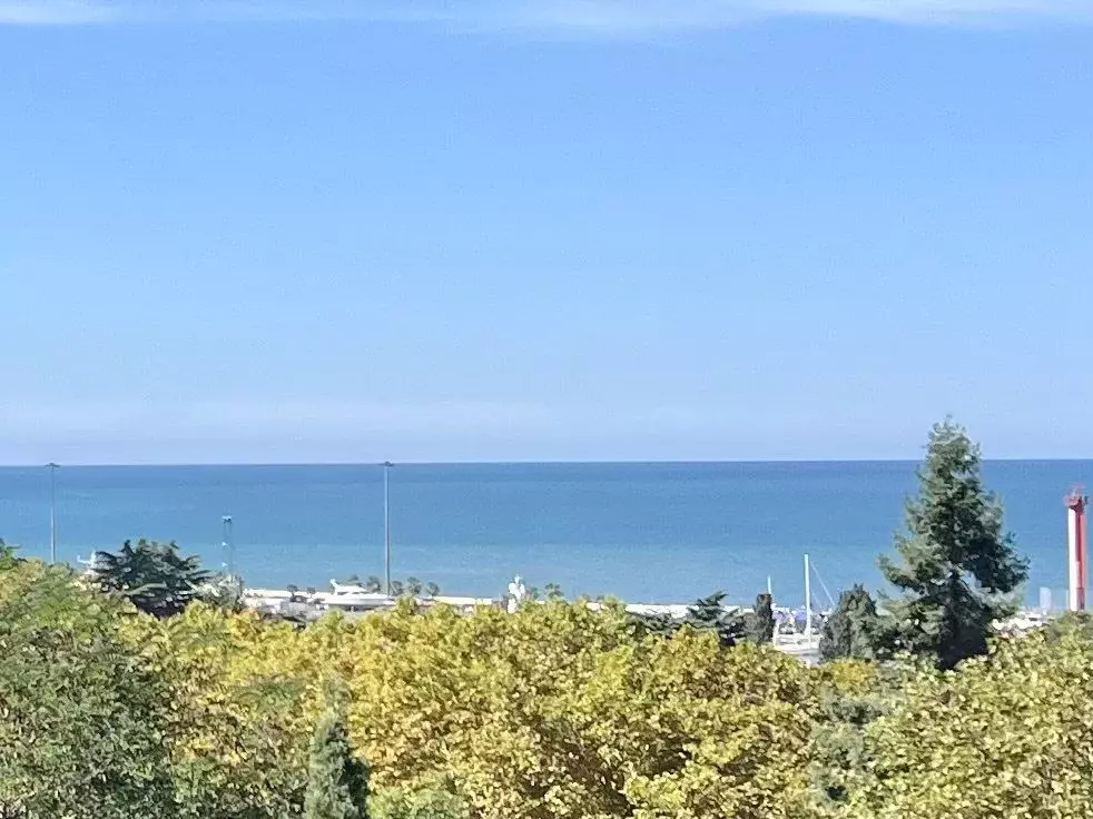 2-к кв. Краснодарский край, Сочи Курортный просп., 84 (54.0 м) - Фото 2