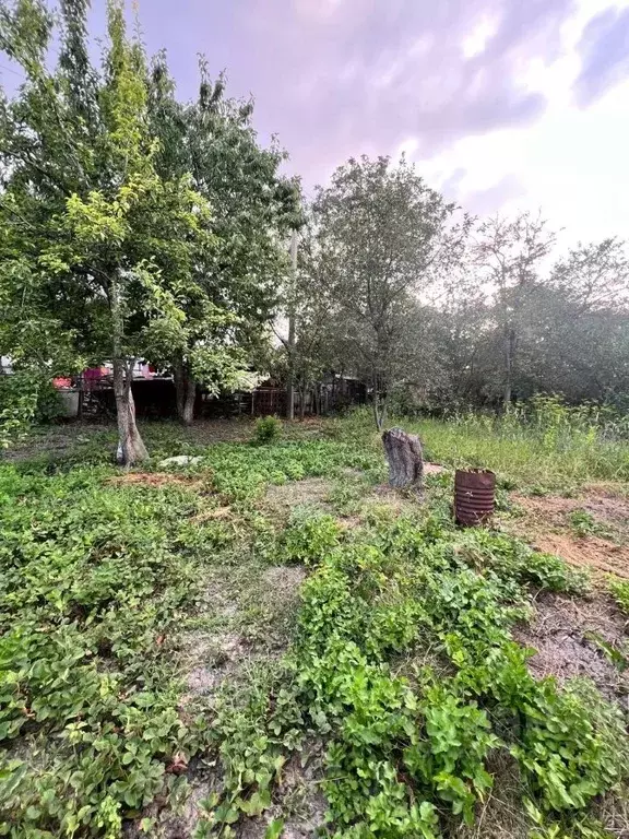 Участок в Ставропольский край, Предгорный муниципальный округ, ... - Фото 1