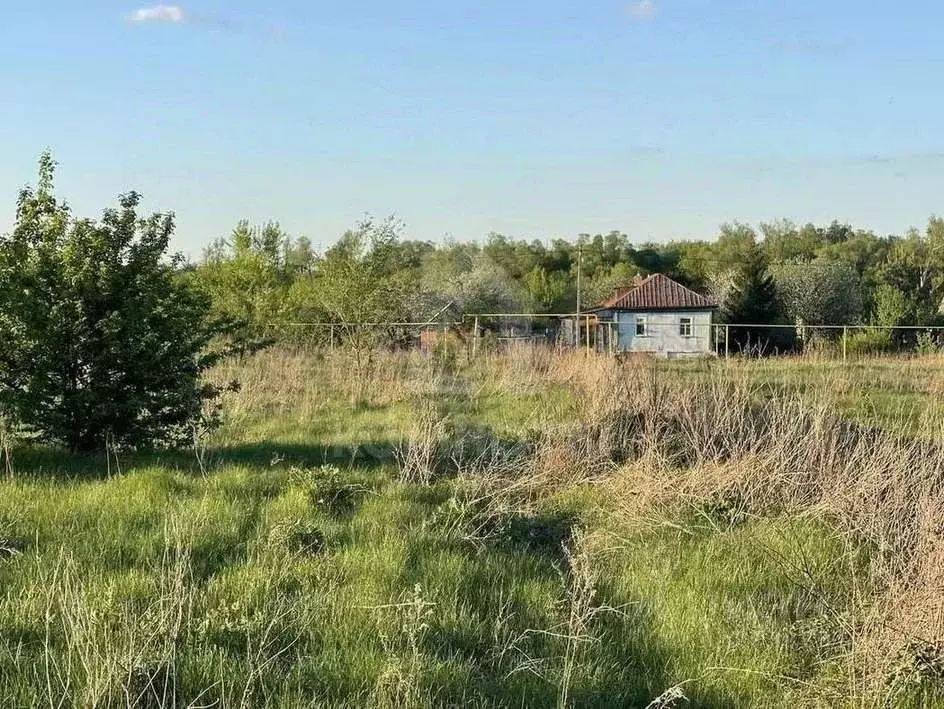 Участок в Воронежская область, Семилукское с/пос, с. Ендовище ул. ... - Фото 2