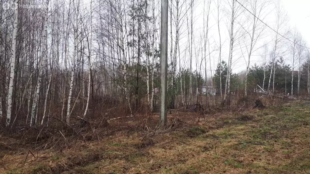 Участок в Тульская область, городской округ Тула, деревня Интюшово, ... - Фото 2