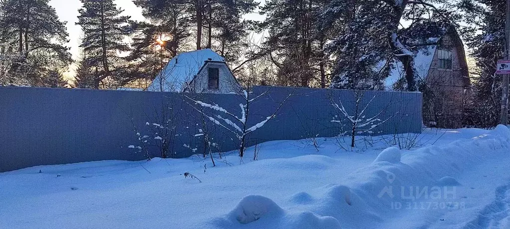 Участок в Московская область, Лосино-Петровский городской округ, ... - Фото 0