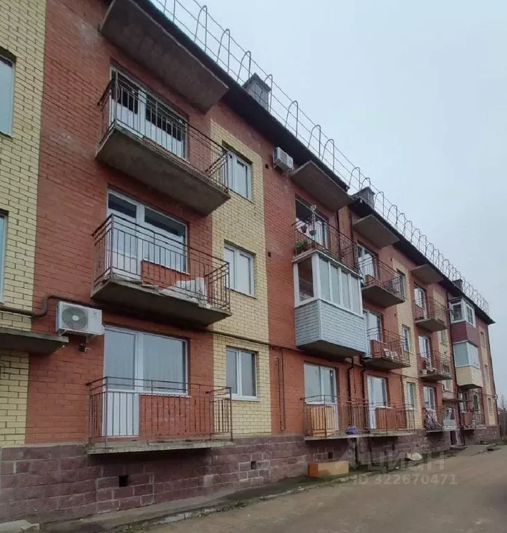 2-к кв. Ярославская область, Ярославский муниципальный округ, пос. ... - Фото 2