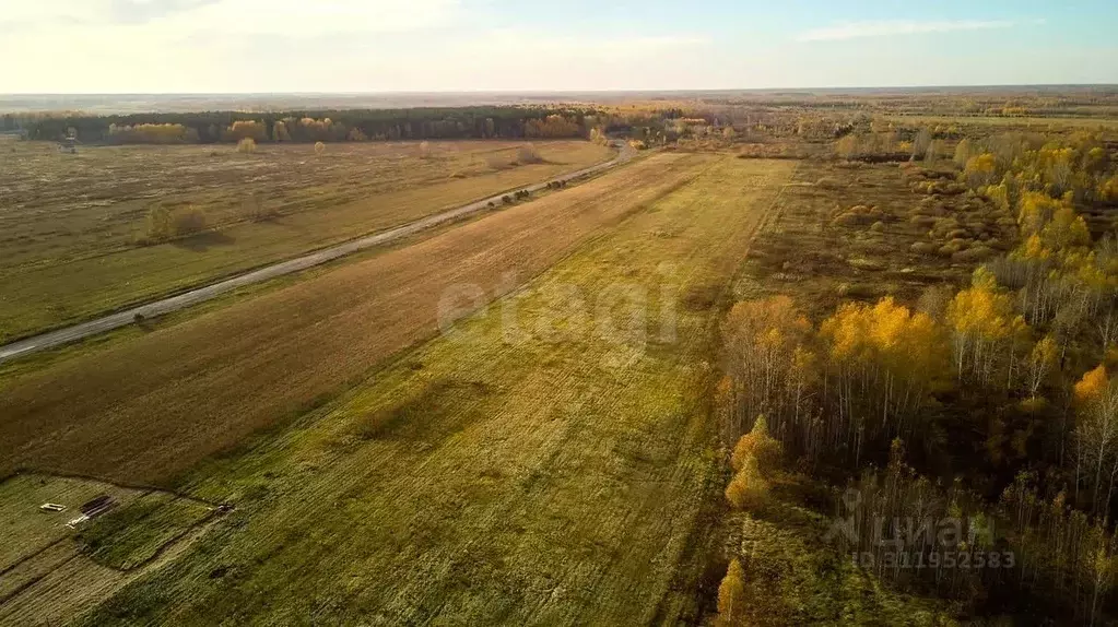 Участок в Тюменская область, Тюменский район, с. Салаирка  (12.0 сот.) - Фото 0