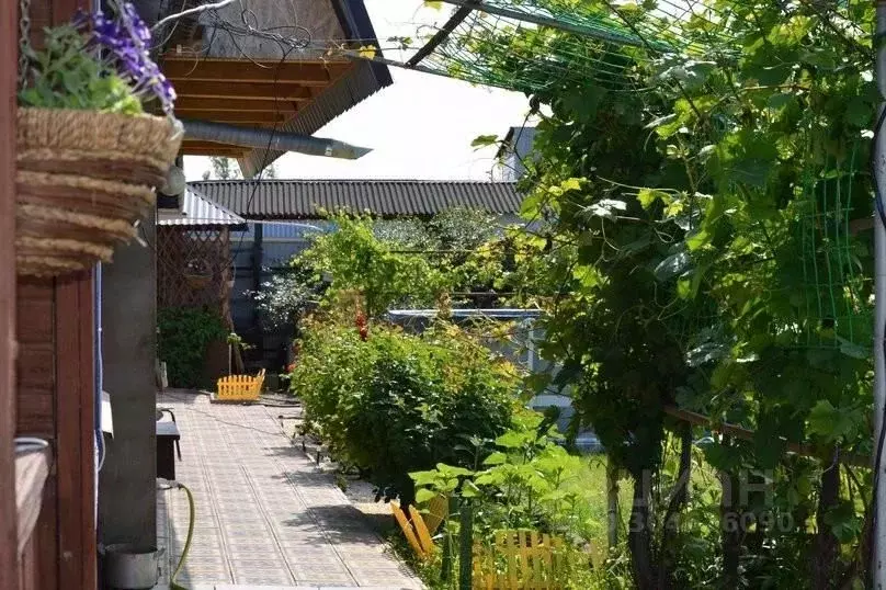 Дом в Оренбургская область, Соль-Илецк Центр кв-л,  (35 м) - Фото 1