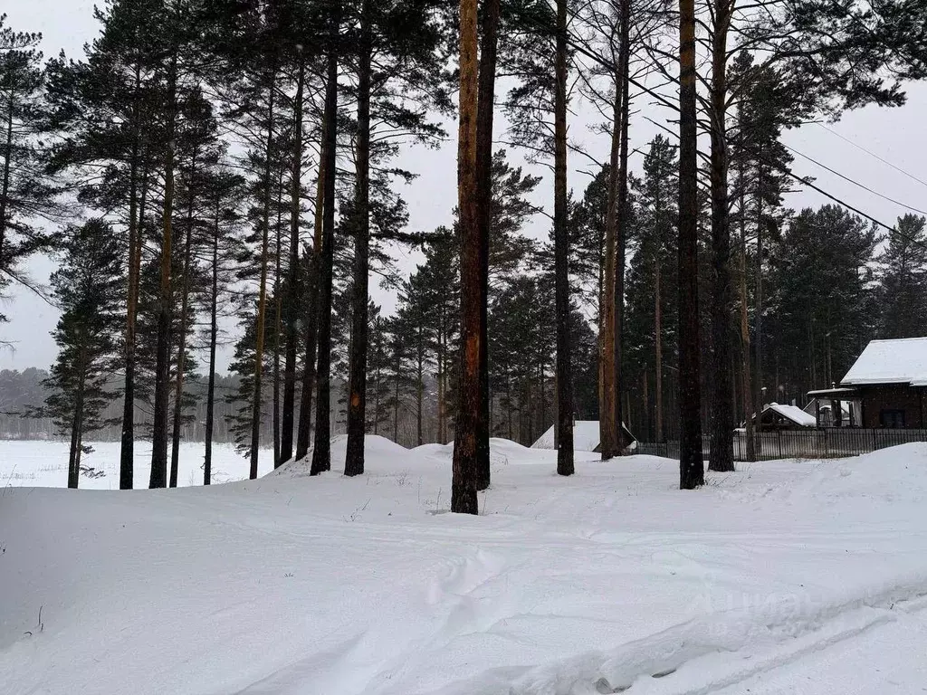 Участок в Иркутская область, Иркутский муниципальный округ, ... - Фото 1