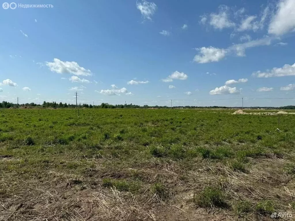 Участок в Нижегородская область, Бор (8 м) - Фото 1