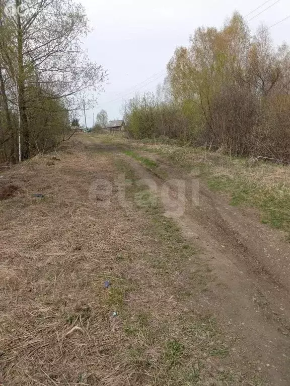 Участок в село Мельниково, Сибирская улица (8 м) - Фото 2