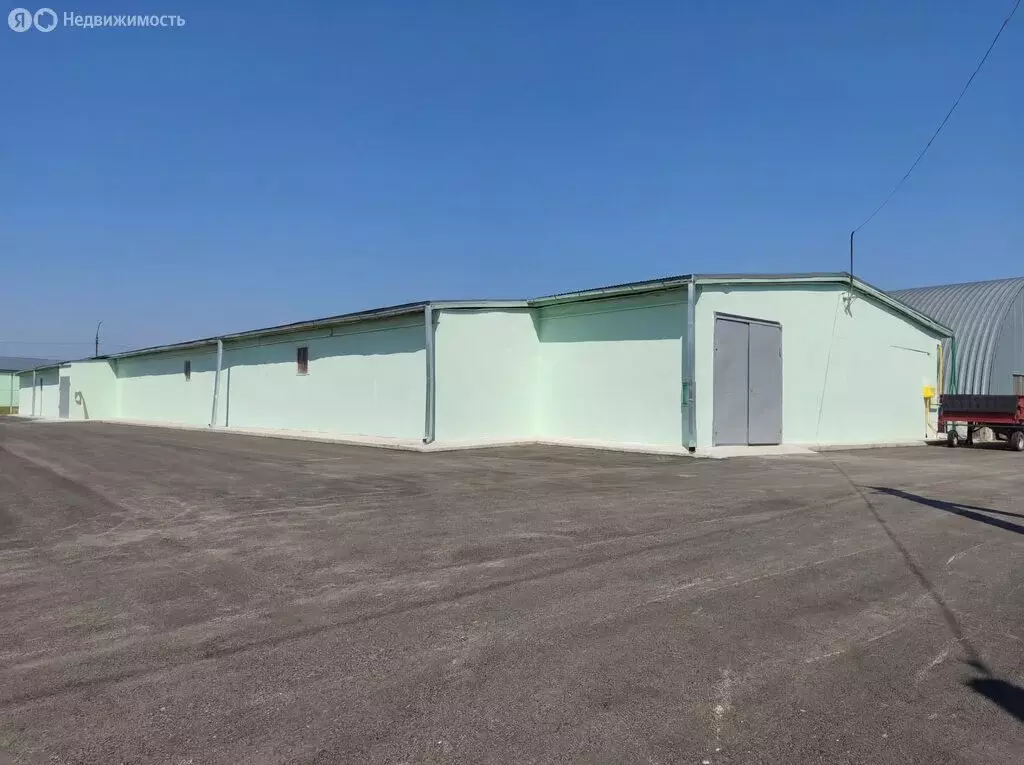 Склад (534 м) - Фото 2
