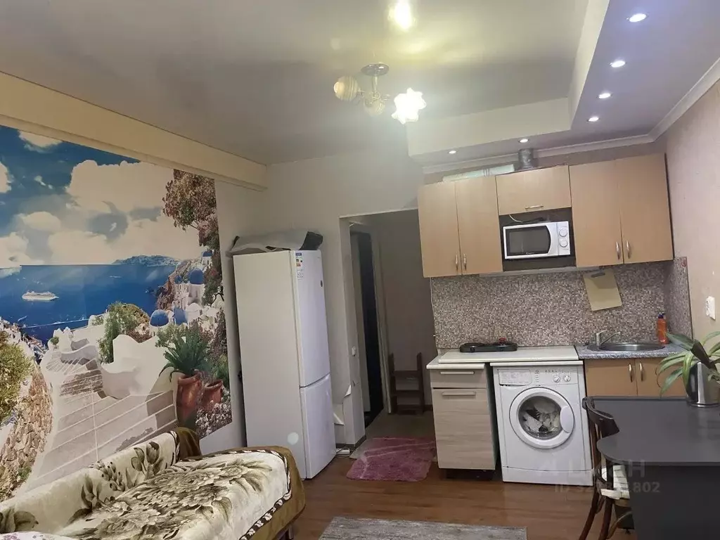 Студия Краснодарский край, Сочи ул. Верхняя Лысая Гора, 10/8 (18.0 м) - Фото 2