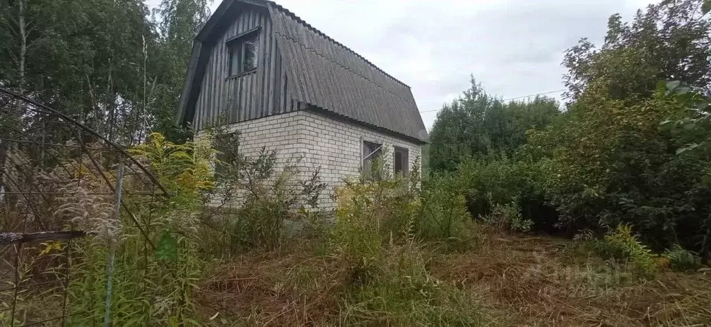 Дом в Брянская область, Брянский район, Мичуринское с/пос, Авангард ... - Фото 1