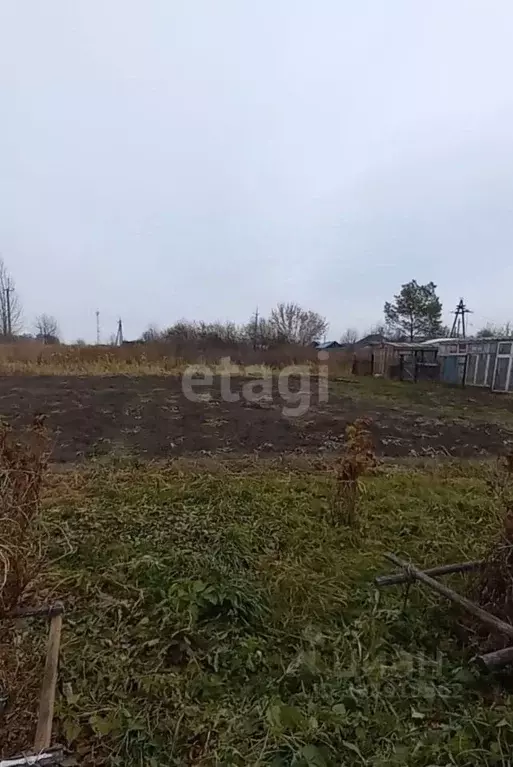 Участок в Новосибирская область, Мошковский район, с. Сокур ул. ... - Фото 1