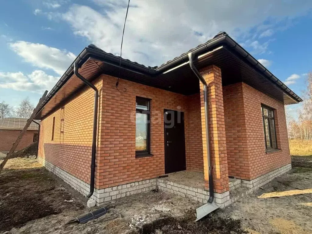 Дом в Воронежская область, с. Новая Усмань ул. Виноградная (90 м) - Фото 0