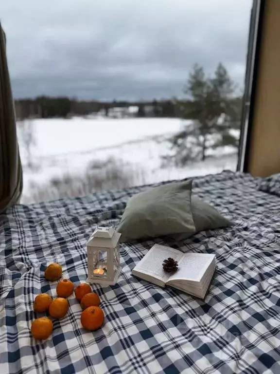Дом в Псковская область, Псковский район, Торошинская волость, д. ... - Фото 1
