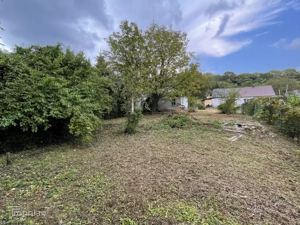 Участок в Краснодарский край, Геленджик городской округ, с. ... - Фото 1