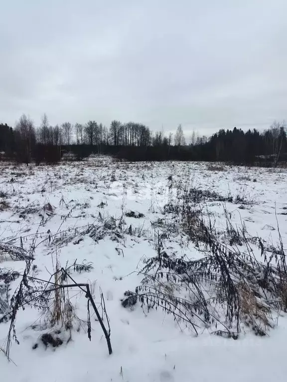 Участок в Ленинградская область, Выборгский район, Советское городское ... - Фото 0
