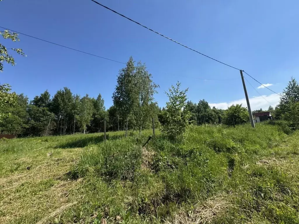 Участок в Московская область, Воскресенск городской округ, д. ... - Фото 2