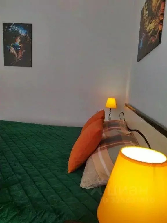 1-к кв. Хакасия, Черемушки рп 8 (29.0 м) - Фото 2