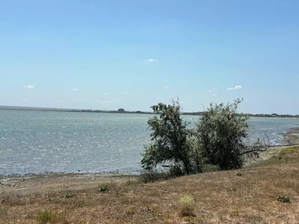 Участок в Крым, Черноморский район, Межводненское с/пос  (4.0 сот.) - Фото 1