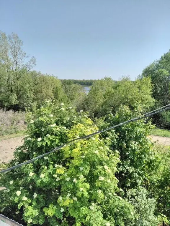 Дом в Саратовская область, Вольский район, Терсинское муниципальное ... - Фото 1