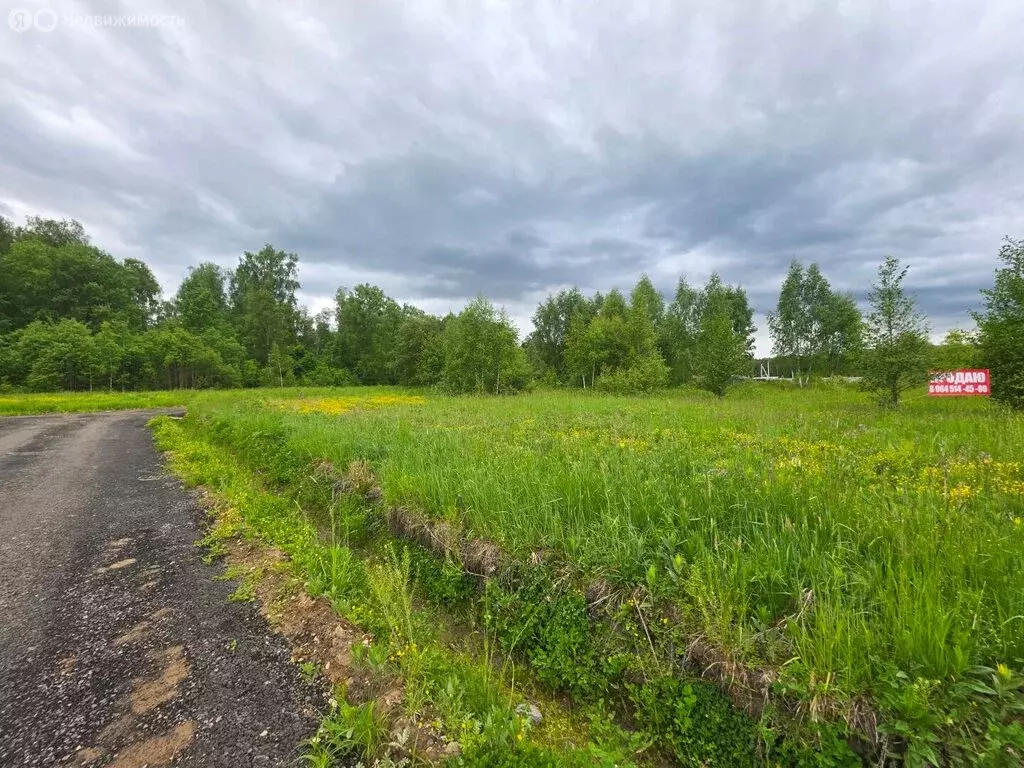 Участок в Московская область, городской округ Серпухов, деревня ... - Фото 1