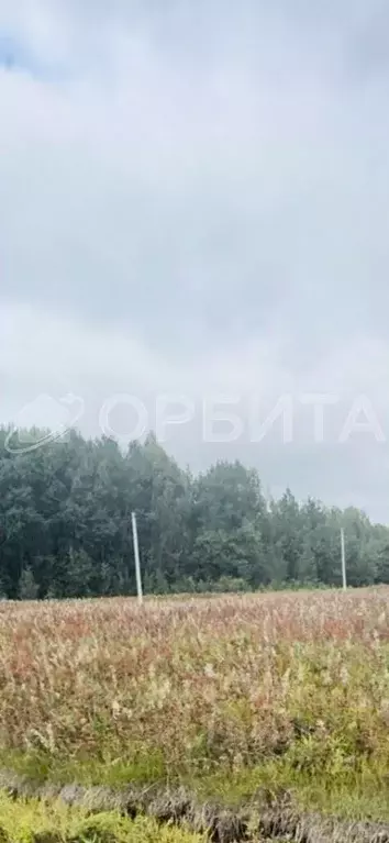 Участок в Тюменская область, Тюменский район, с. Кулига, Кулига-2 мкр  ... - Фото 0