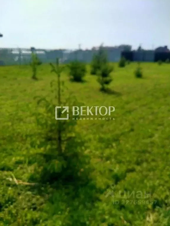 Участок в Ивановская область, Ивановский муниципальный округ, д. ... - Фото 2