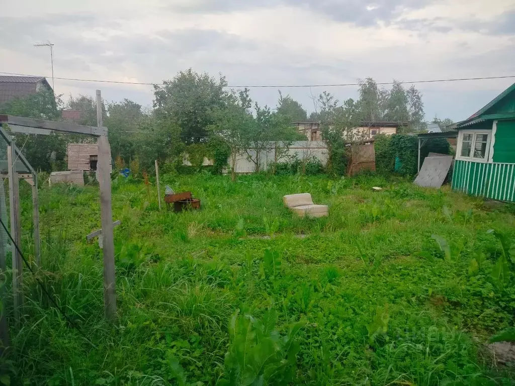 Участок в Московская область, Клин городской округ, Дружба садовое ... - Фото 1