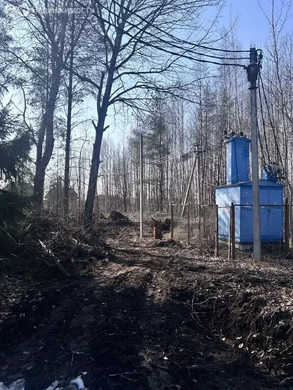 Участок в Всеволожский район, Колтушское городское поселение, деревня ... - Фото 2