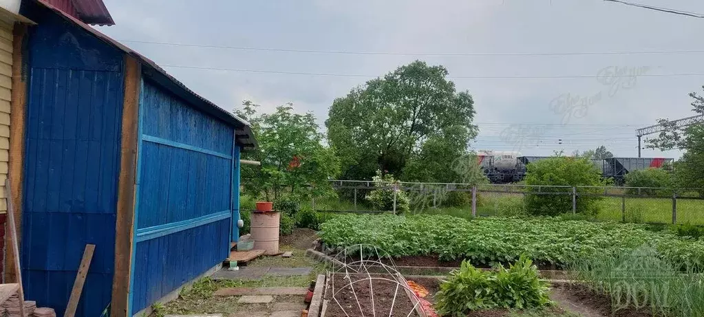 Дом в Еврейская автономная область, Смидовичский район, с. Аур ... - Фото 2
