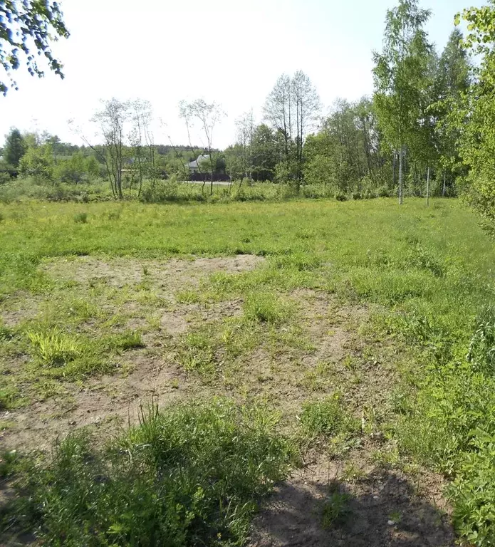 Участок в Тверская область, Конаковский муниципальный округ, д. ... - Фото 1