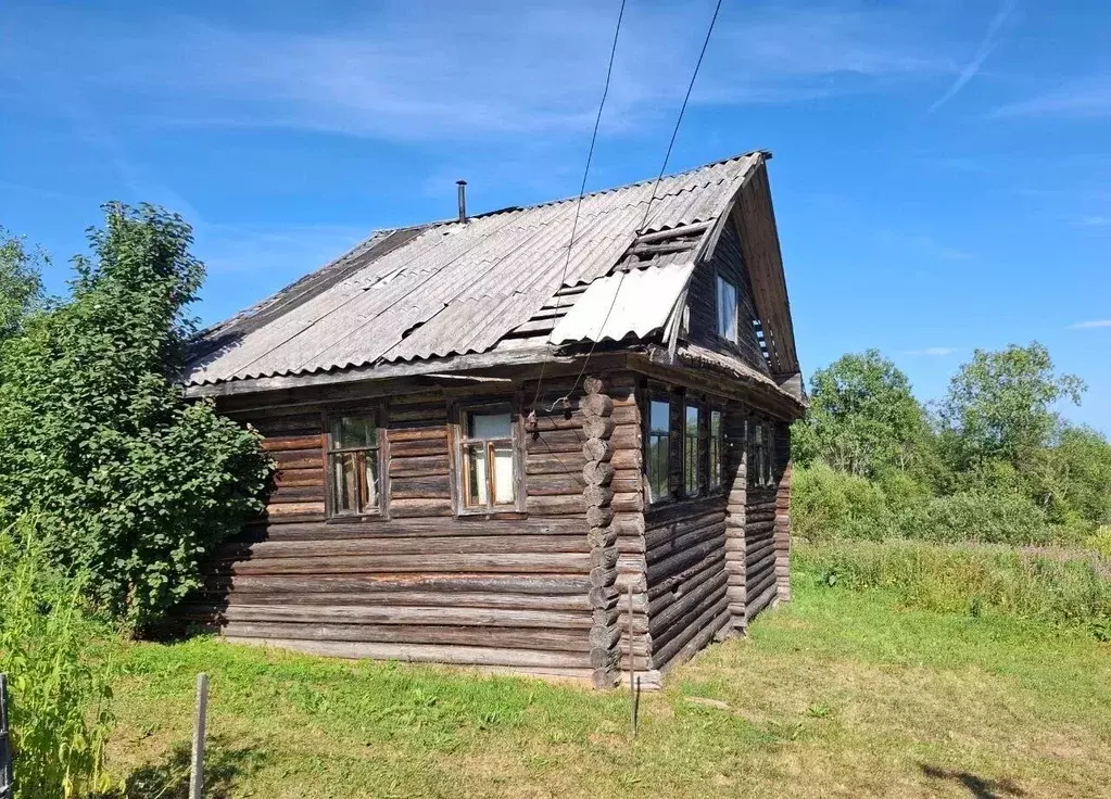 Участок в Вологодская область, Сямженский муниципальный округ, д. ... - Фото 1