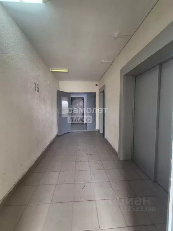 Студия Оренбургская область, Оренбург Транспортная ул., 16/2 (29.0 м) - Фото 2