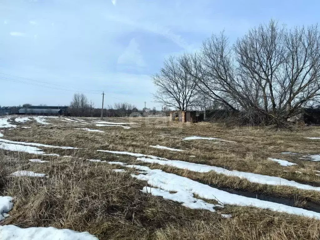 Участок в Воронежская область, Каширский район, Дзержинское с/пос, ... - Фото 2
