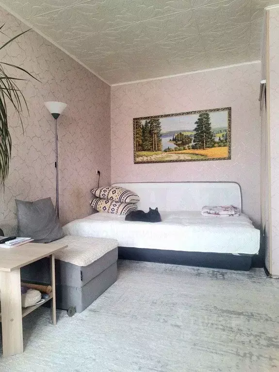 1-к кв. Свердловская область, Екатеринбург ул. Белоярская, 19 (29.9 м) - Фото 2