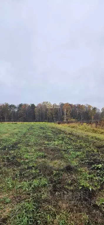 Участок в Калужская область, Ферзиковский муниципальный округ, Красный ... - Фото 1