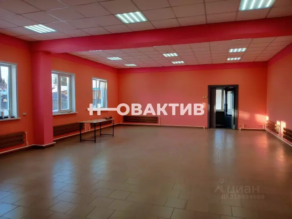 Помещение свободного назначения в Новосибирская область, с. Кыштовка ... - Фото 0