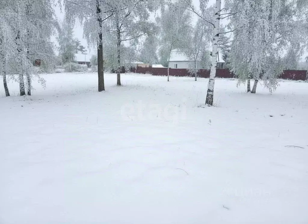 Участок в Ленинградская область, Приозерский район, Громовское с/пос, ... - Фото 2