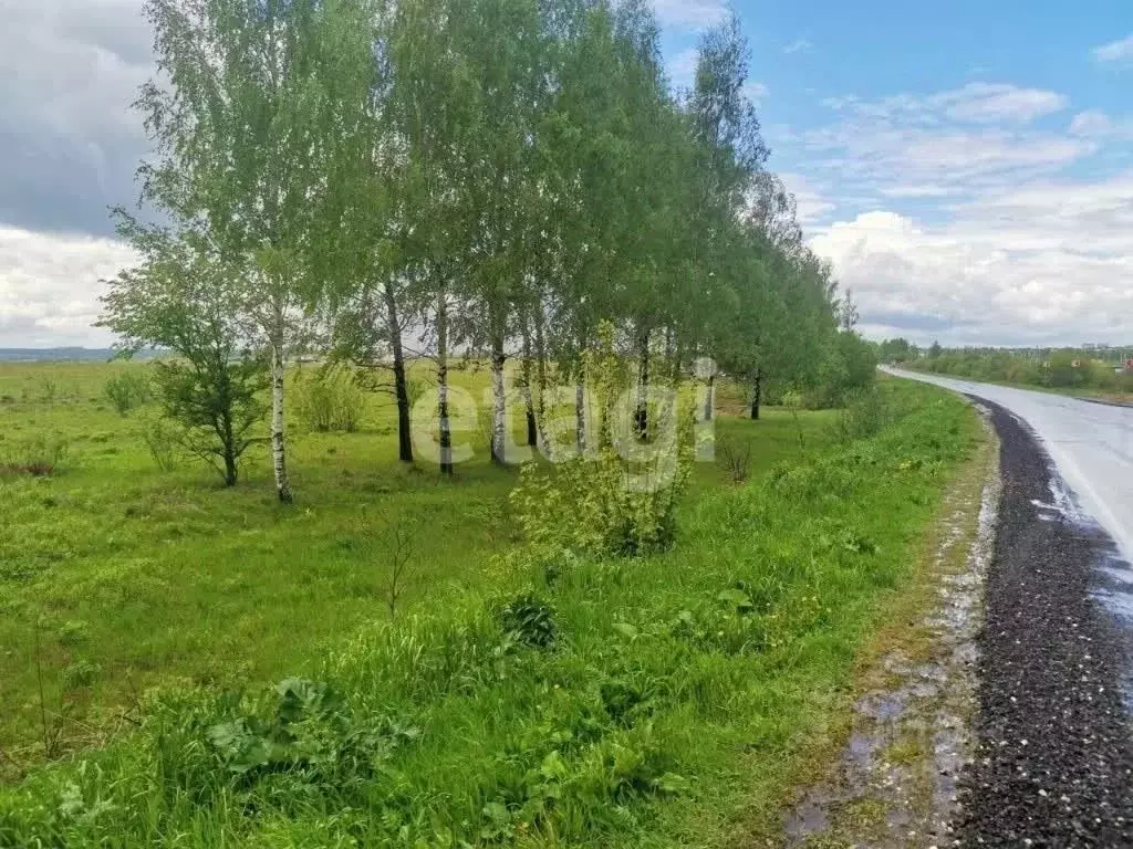 Участок в Тульская область, Тула муниципальное образование, д. ... - Фото 1