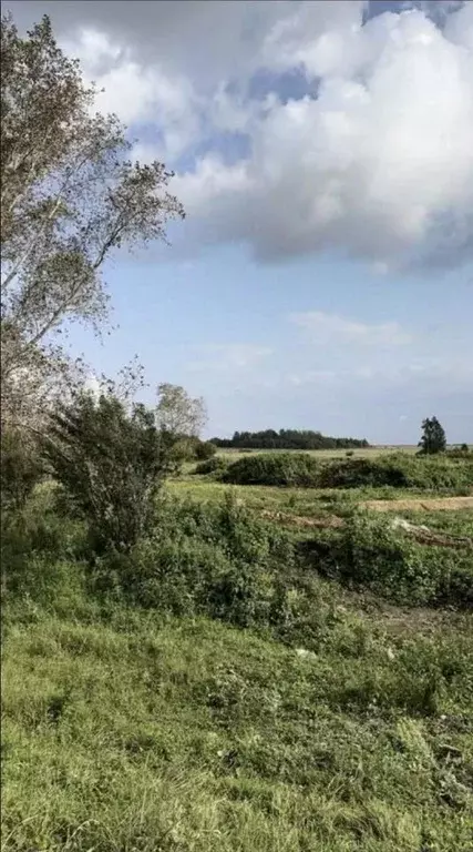 Участок в Челябинская область, Аргаяшский район, Кузнецкое с/пос, с. ... - Фото 1