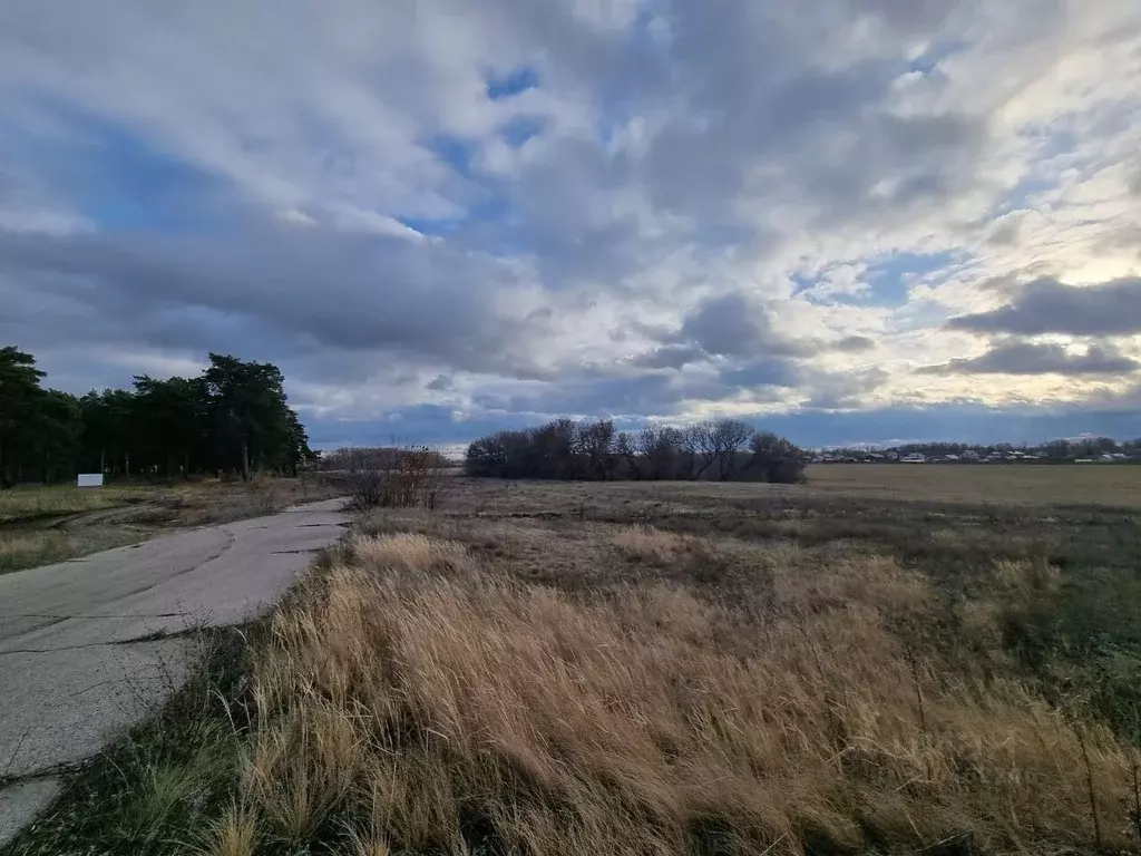 Участок в Самарская область, Ставропольский район, с. Ташелка  (13.0 ... - Фото 0