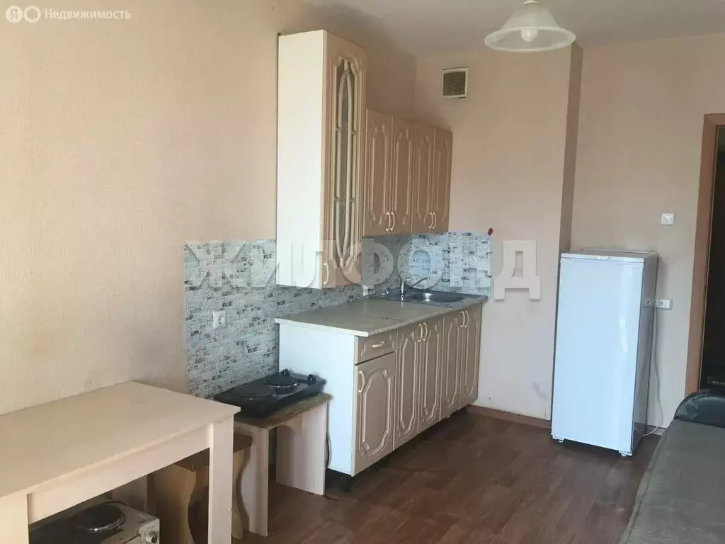 Квартира-студия: Новосибирск, улица Петухова, 99/1 (20 м) - Фото 2
