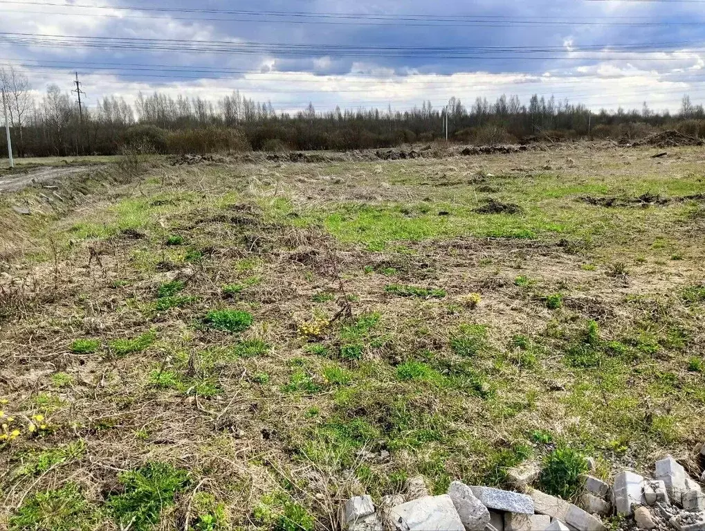 Участок в Ленинградская область, Всеволожский район, Колтушское ... - Фото 0