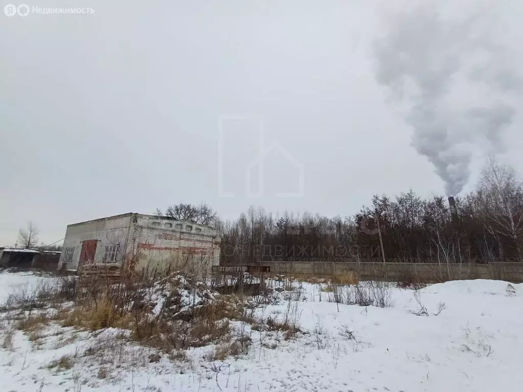 Помещение свободного назначения (230 м) - Фото 1