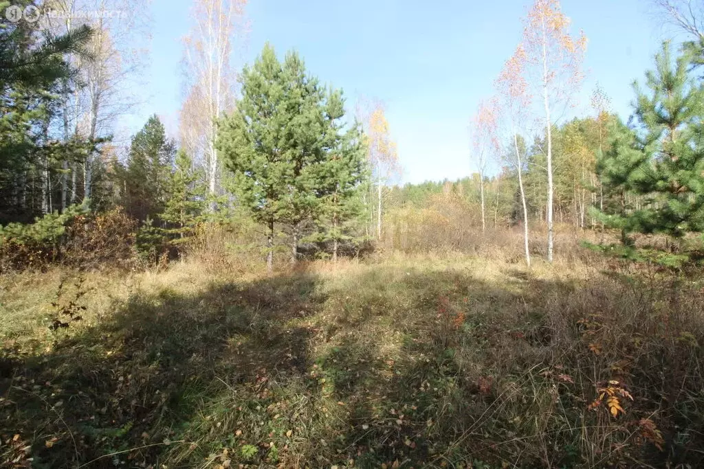 Участок в Горноуральский городской округ, посёлок Черноисточинск, ... - Фото 1